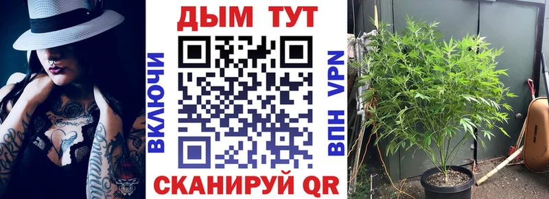 Купить закладки  Тотьма  Конопля марихуана 